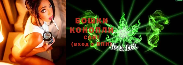 молекула духа Белоозёрский