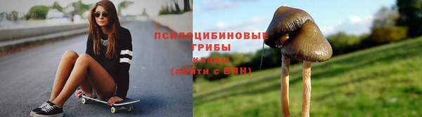 молекула духа Белоозёрский