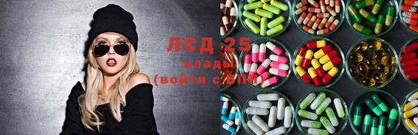 Альфа ПВП Белокуриха